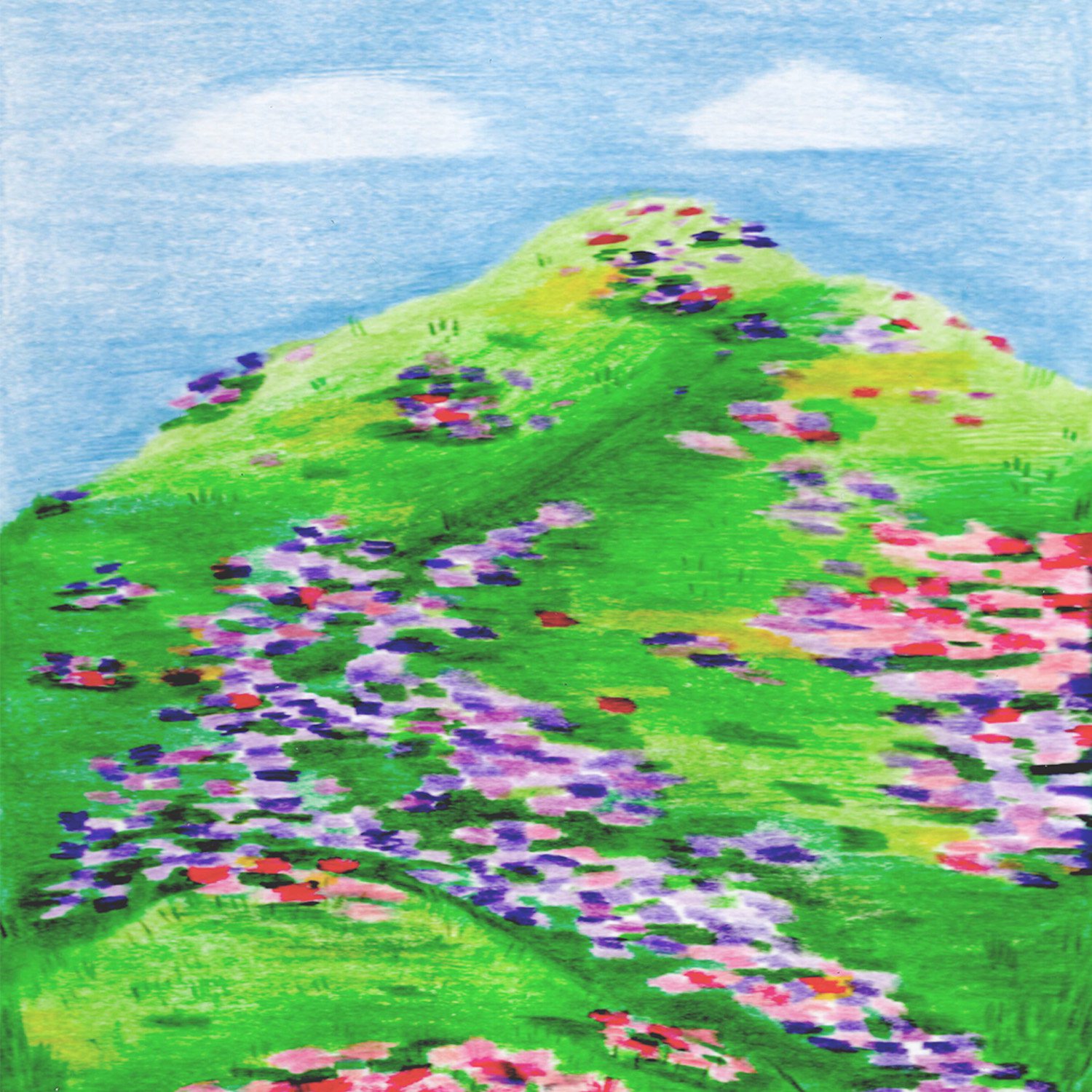 Mountains flowers